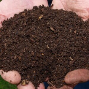 The Organic Hub Premium Quality Vermicompost for Plants 5kg